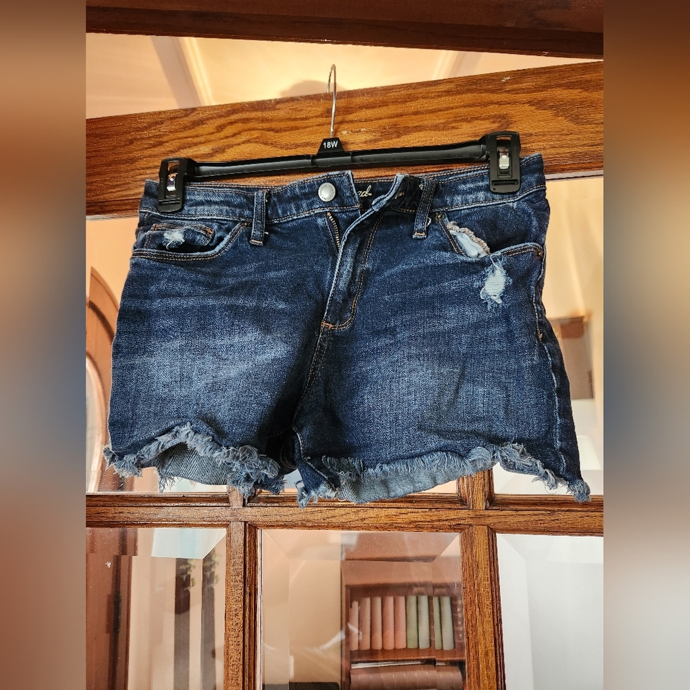 Universal Threads shorts